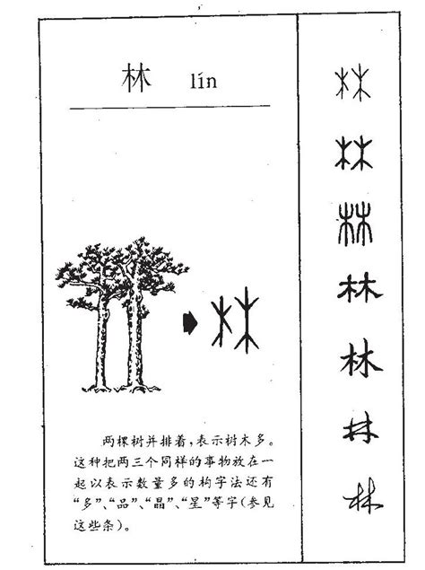 林的意思名字|林字取名的寓意